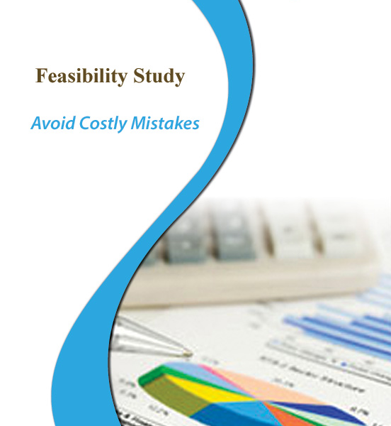 Spa Feasibility Study