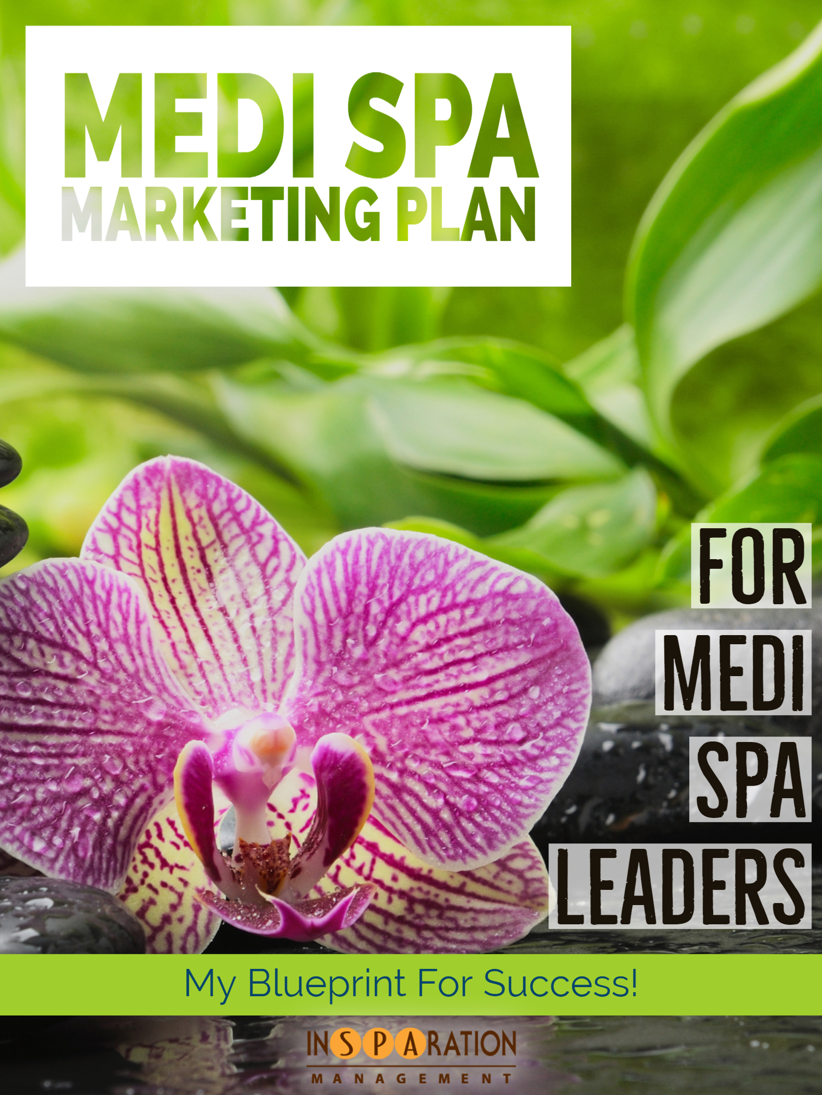 Spa And Medi Spa Business Manuals Insparation Management