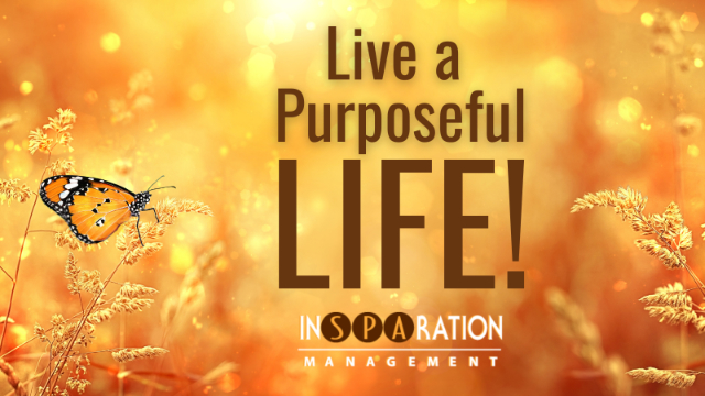 Live a purposeful life newlsetter banner