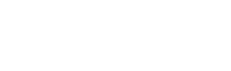 White Med Spa Biz University Logo
