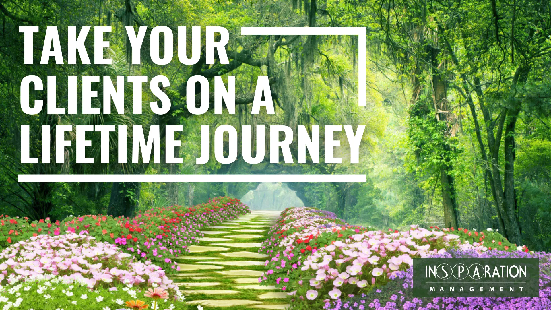 Take Your Clients On A Journey