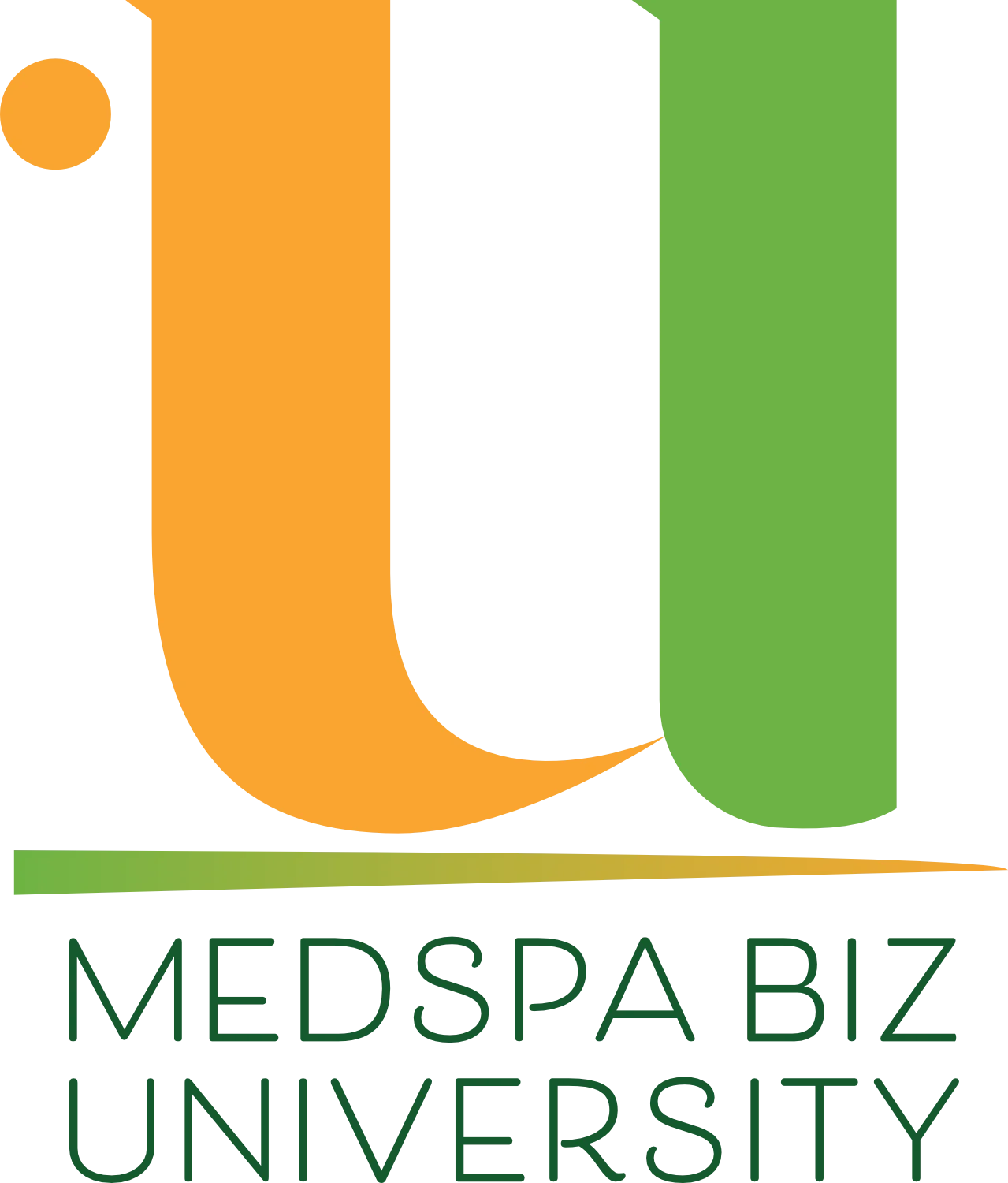 medspabizu-logo-230725 (2).png