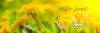 hello-june-ss1727029150 InSParation Moments Newsletter - Hello June 2024